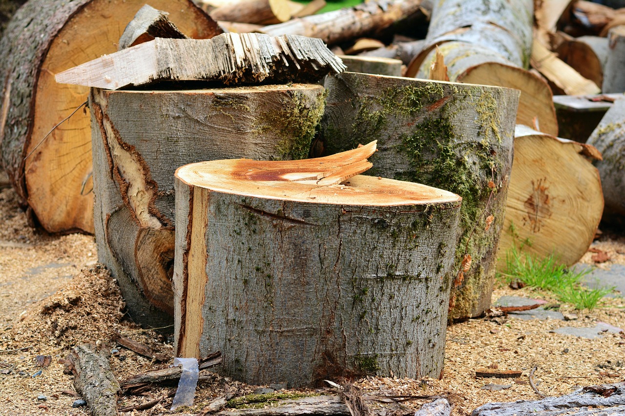 How to Choose the Right Wood for Your First Project